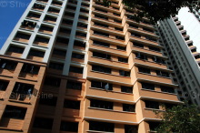 Blk 19 Cantonment Towers (Bukit Merah), HDB 3 Rooms #150332